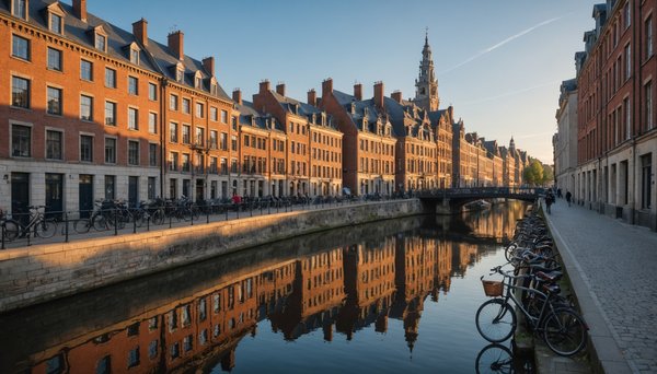 Tendances Immobilières de Lille: Un Aperçu du Marché Dynamique